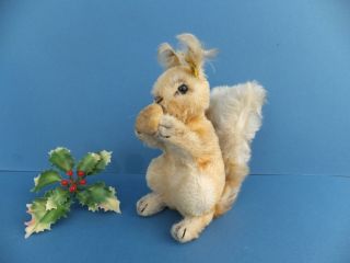 Vintage German Steiff Possy Squirrel Mohair Toy Silver Ear Button & Tag 4322,  01