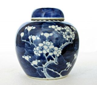 Antique Chinese Blue & White Porcelain Prunus Jar 5.  5 ",  Double Ring Mark,  19th C