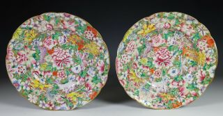Great Large Antique Chinese Mille Fleur Porcelain Plates - Guangxu