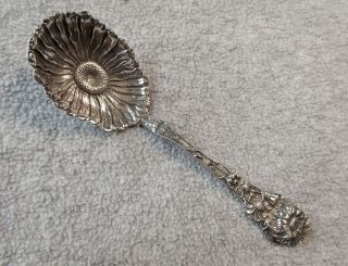 Daisy By Paye And Baker 5 1/4 " Long Sterling Sugar Spoon