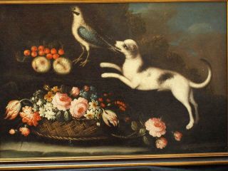 LARGE 17th Century DOG WITH BIRD IN EXTENSIVE LANDSCAPE Antique Oil Painting 2