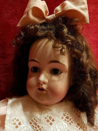 Antique Kestner 171 German Bisque Head Doll 23 " Custom Dress And Mohair Wig