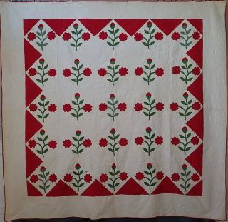 Antique 19th C Applique Red & Green Floral Quilt Baltimore Provenance