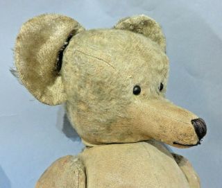 Antique Vintage Large Straw Filled Teddy Bear With Long Muzzle Boot Button Eyes