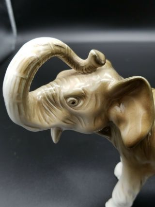 Elephant Porcelain Figurine Royal Dux Bohemia Mcm Vintage Trunk Up = Luck