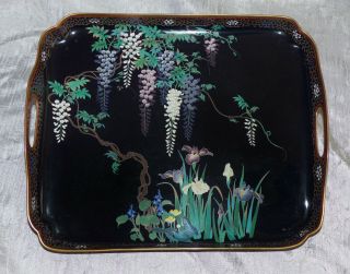 Large Antique Japanese Cloisonne Footed Tray With Wisteria And Flowers