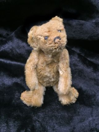 Rare 5” Early Antique Steiff 1908 - 1911 Miniature Teddy Bear Underscore F Button