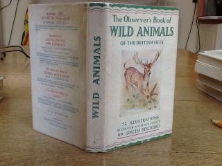 Observers Book Of Wild Animals 1956: