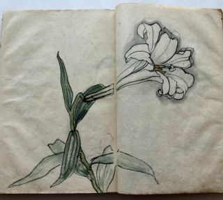 1810 Japanese Artist Sketchbook Hand Paintings Botany Flower Fish Nature 154 Pp