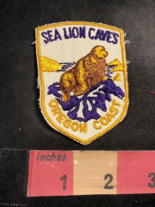 Vintage Sea Lion Caves Oregon Coast Tourist Attraction Patch S94g
