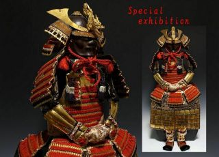 Japan Antique Edo 龍 Gold Yoroi Kabuto Set Child Koshirae Armor Katana Samurai 武将