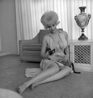 Tb102 Vintage 1960s Pinup Negative Photo Sexy Busty Beehive Blond Model Woman