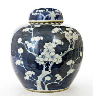 Antique Chinese Blue & White Porcelain Prunus Jar 7.  5 ",  Double Ring Mark,  19th C