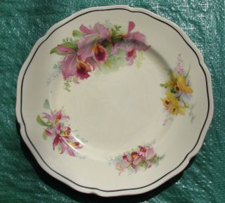 Vintage Royal Doulton Orchid EntrÉe Plate D 5215