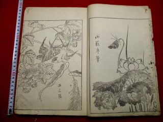 2 - 20 Rare Japanese Gasoku5 Ehon Woodblock Print Book
