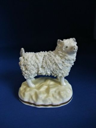 Antique 19thc Samuel Alcock Staffordshire Figure Of A Prick Eared Sheep C1835