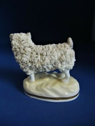 ANTIQUE 19THC SAMUEL ALCOCK STAFFORDSHIRE FIGURE OF A PRICK EARED SHEEP C1835 3