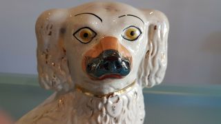 ANTIQUE STAFFORDSHIRE DOG.  (c1900) LARGE AND IN.  32cm H. 3
