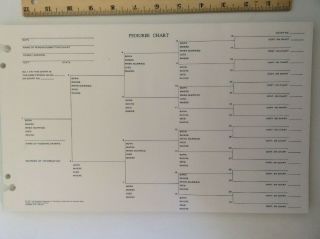 Vintage LDS Family Tree Photo Chart Portrait Pedigree Chart Paper ...