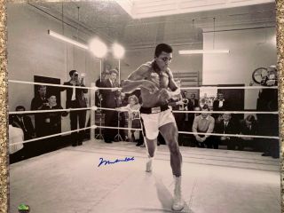Muhammad Ali Cassius Clay Signed 16x20 Shadow Boxing Photo Fanatics Certified