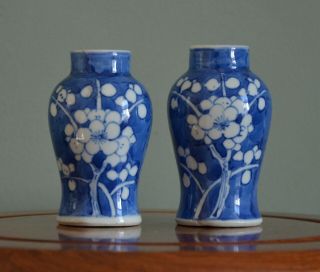 Small 19th Century Chinese Blue And White Prunus Vases