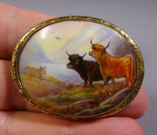 Fine Antique Royal Worcester? Hand Painted Cattle Brooch John Stinton? C.  1910