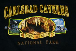 Vintage Usa Carlsbad Caverns National Park Nm Mens T - Shirt S