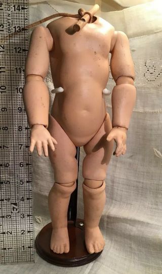 Vintage 14 " Ball Jointed Composition Doll Body - For Bisque Socket Head Doll - Stand