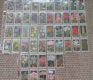 49 Vintage Wills Cigarette Cards Wild Flowers And Flower Culture In Pots