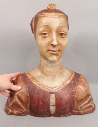 Large Antique Italian Painted Terracotta Portrait Bust 15thC Giovane Donna Woman 2