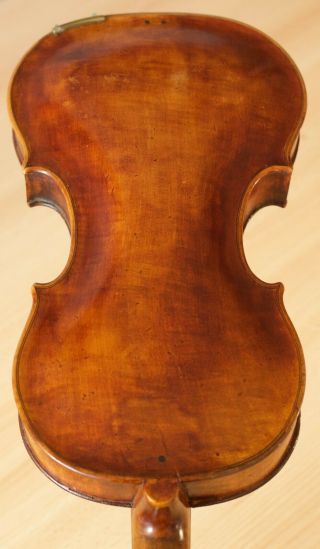 Old Violin 4/4 Geige Viola Cello Fiddle Label Carlo Giuseppe Testore