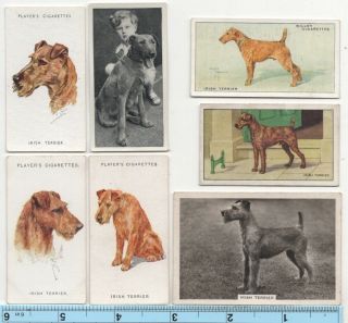 Irish Terrier Dog Pet Canine 7 Different Vintage Ad Trade Cards 4