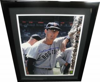 Ted Williams Hand Signed Autographed 16x20 Photo Leaning On Fence Framed Psa