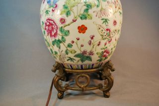Antique 19th c.  Famille Rose Chinese Porcelain Ginger Jar Lamp w/ Dragon Base 2