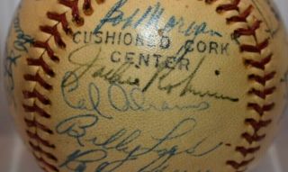 1950/51 Signed Brooklyn Dodgers Baseball (jackie Robinson,  Peewee Reese Etc. )