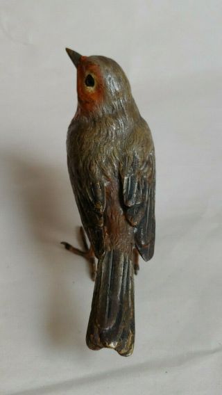Vintage Antique Franz Bergman Signed Cold Painted Bronze Bird Sculpture 3