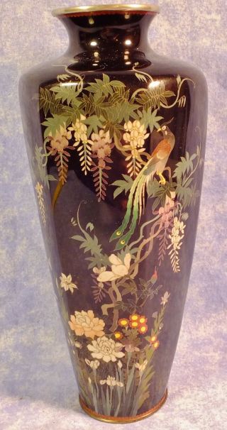Rare Fine Antique Silver Wire Japanese Meiji Cloisonne 25cm Vase Signed