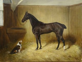 19th Century Bay Hunter Horse & Dog In Stable Portrait Frantisek Straybl Czech