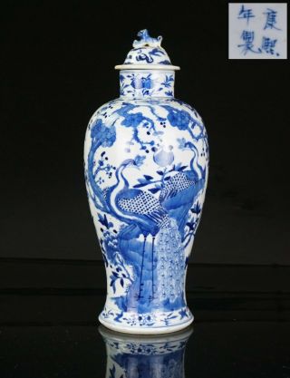 Large Antique Chinese Blue And White Porcelain Peacock Vase Kangxi Mark 19th C