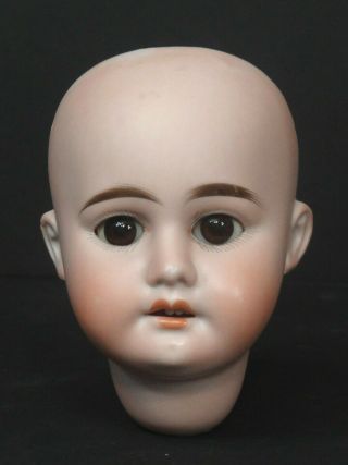 Antique German Bisque Doll Head Am 1894 Dep
