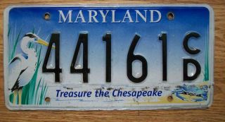Single Maryland License Plate - 44161cd - Treasure The Chesapeake
