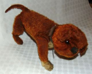 Marvelous Rare Early 1900,  S German Steiff Jointed Bulldog 15 Inches