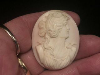 Large Antique Conch Shell Cameo Victorian