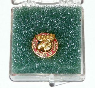 Vintage Pap Loyal Order Of Moose Pin