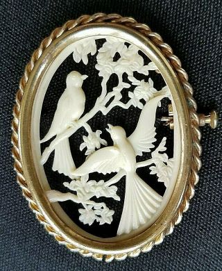 Vintage French Celluloid Diorama Brooch Marked Depose France 2 Birds In Tree