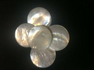 5 LARGE WHITE SHINY ABALONE SHELL MOTHER OF PEARL FLAT SHANK VINTAGE BUTTONS 2
