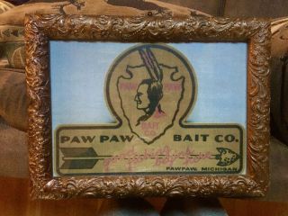 Vintage Paw Paw Bait Co.  Framed Advertisement Sign 17 1/2 " X 13 " Paw Paw,  Mi