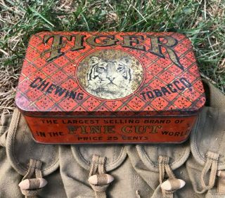 Vintage Tiger Chewing Tobacco Tin.  Piece,  Good Color And Displays Nicely