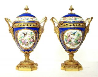 Antique French Porcelain & Ormolu Sevres Bleu Vases & Covers,  Birds,  11 "