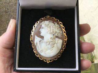 Exquisite Large Antique Victorian 9ct Gold Shell Cameo Brooch Boxed